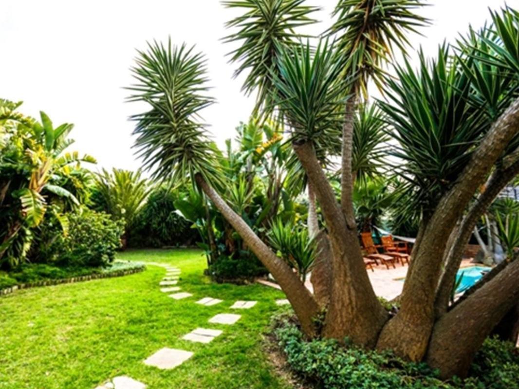 Secret Garden Guesthouse Bloubergstrand Bagian luar foto